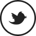 Twitter Social Evolution Web Design Agency